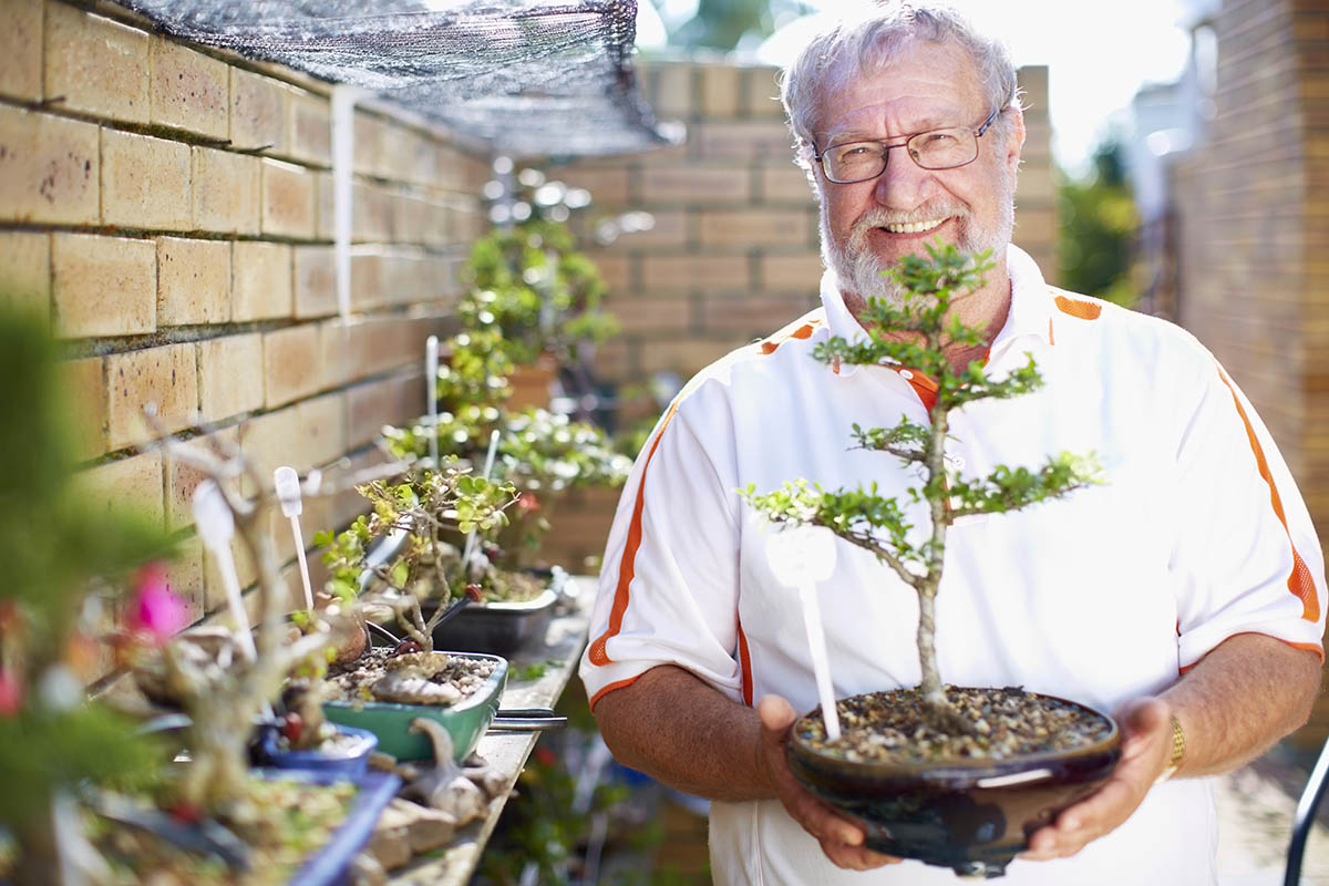 smiling-senior-man-holding-bonsai-tree-2022-12-16-22-39-04-utc-copy.jpg